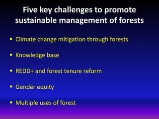 Five Key Challenges for Sustainable Forest Governance