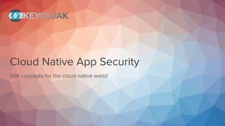Cloud Native App Security
IAM concepts for the cloud-native world
 