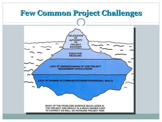 Few Common Project Challenges
 