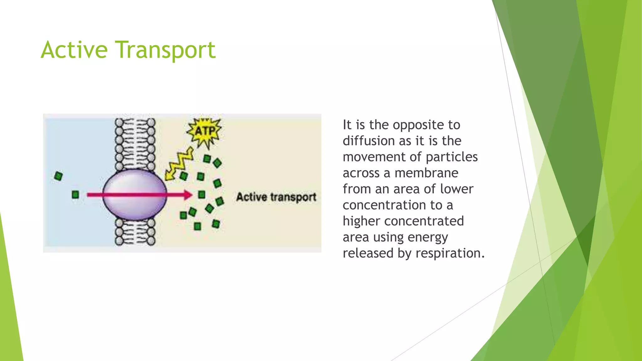 Active Transport
It is the opposite to
diffusion as it is the
movement of particles
across a membrane
from an area of lower
concentration to a
higher concentrated
area using energy
released by respiration.
 