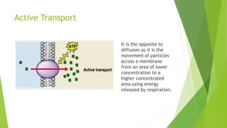 Active Transport
It is the opposite to
diffusion as it is the
movement of particles
across a membrane
from an area of lower
concentration to a
higher concentrated
area using energy
released by respiration.
 