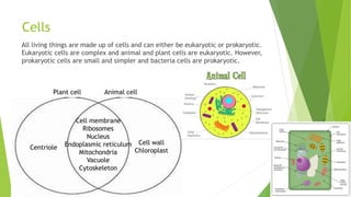 Cells
All living things are made up of cells and can either be eukaryotic or prokaryotic.
Eukaryotic cells are complex and animal and plant cells are eukaryotic. However,
prokaryotic cells are small and simpler and bacteria cells are prokaryotic.
Plant cell Animal cell
Centriole
Cell wall
Chloroplast
Cell membrane
Ribosomes
Nucleus
Endoplasmic reticulum
Mitochondria
Vacuole
Cytoskeleton
 