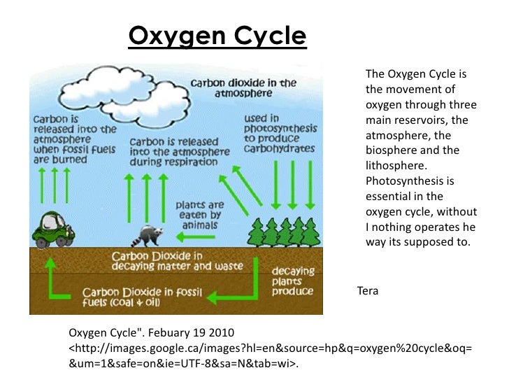 Key Concepts Unit 1[1]