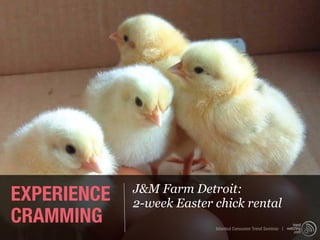 EXPERIENCE   J&M Farm Detroit:
             2-week Easter chick rental
CRAMMING                   Istanbul Consumer Trend Seminar |
 
