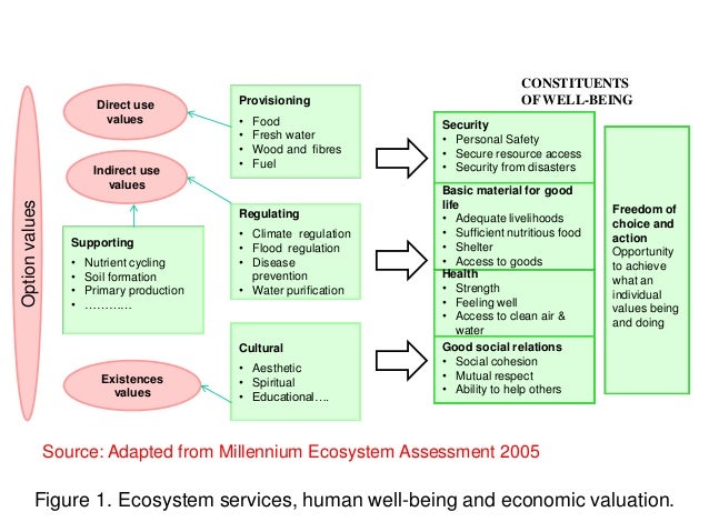 appraisal of the economic implication of An appraisal of accounting system in the public sector appraisal of the economic implication of electronic banking in nigeria banks (a. appraisal of the economic implication of An appraisal of accounting system in the public sector appraisal of the economic implication of electronic banking in nigeria banks (a.