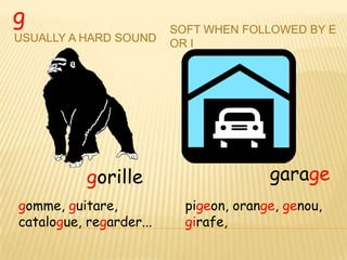 g                        SOFT WHEN FOLLOWED BY E
USUALLY A HARD SOUND     OR I




           gorille                      garage
gomme, guitare,            pigeon, orange, genou,
catalogue, regarder...     girafe,
 