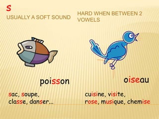 s                      HARD WHEN BETWEEN 2
USUALLY A SOFT SOUND   VOWELS




           poisson                    oiseau
sac, soupe,              cuisine, visite,
classe, danser...        rose, musique, chemise
 