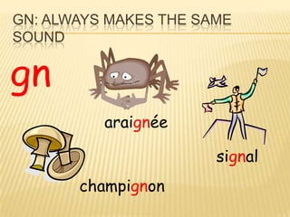 GN: ALWAYS MAKES THE SAME
SOUND


gn
          araignée

                       signal
       champignon
 