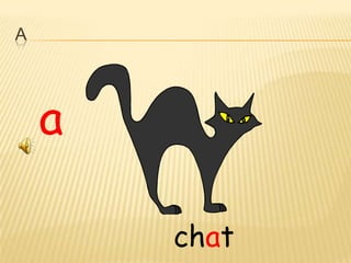 A




    a

        chat
 