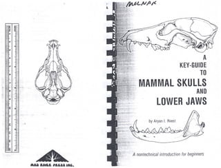 Key guide to mammal skulls &lower jaws by ARYAN.I