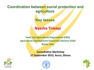 Coordination between social protection and
agriculture
Key Issues

Nyasha Tirivayi
Food and Agricultural Organization (FAO)
Agricultural Development Economics Division (ESA)
Rome, Italy

Consultative Workshop
17 September 2013, Accra, Ghana

 