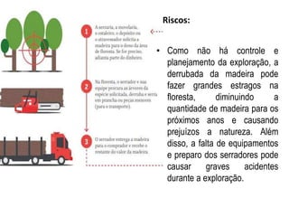 Riscos:
• Como não há controle e
planejamento da exploração, a
derrubada da madeira pode
fazer grandes estragos na
floresta, diminuindo a
quantidade de madeira para os
próximos anos e causando
prejuízos a natureza. Além
disso, a falta de equipamentos
e preparo dos serradores pode
causar graves acidentes
durante a exploração.
 