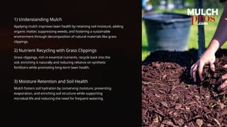 Key Lawn Benefits Explained Through Essential Mulching Insights ...