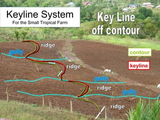 keyline
contour
Keyline System
For the Small Tropical Farm
 