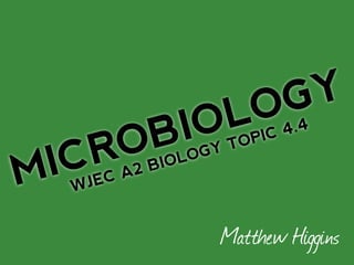 Matthew Higgins
WJEC A2 BIOLOGY TOPIC 4.4
MICROBIOLOGY
 