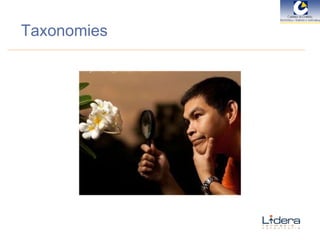 Taxonomies 