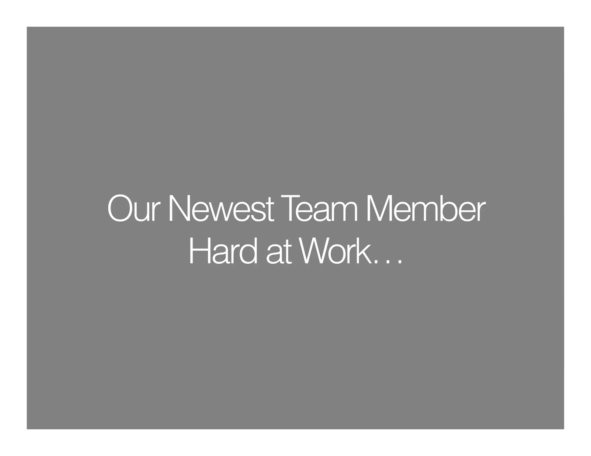 Our Newest Team Member
     Hard at Work…
 