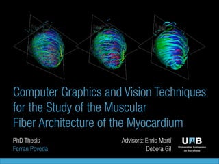 Computer Graphics and Vision Techniques
for the Study of the Muscular 
Fiber Architecture of the Myocardium
PhD Thesis
Ferran Poveda

Advisors: Enric Martí
Debora Gil

 
