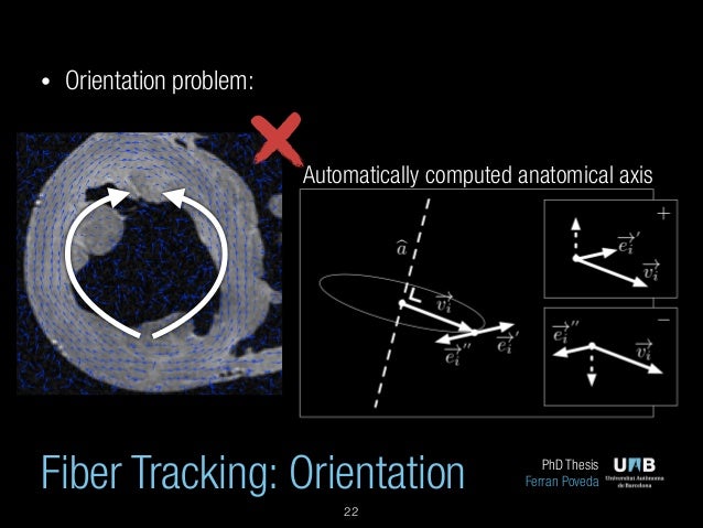Phd thesis computer vision