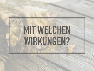 MIT WELCHEN
WIRKUNGEN?
 