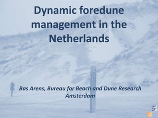 Bas Arens, Bureau for Beach and Dune Research
Amsterdam
Dynamic foredune
management in the
Netherlands
 
