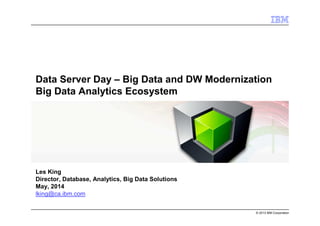 © 2013 IBM Corporation
Data Server Day – Big Data and DW Modernization
Big Data Analytics Ecosystem
Les King
Director, Database, Analytics, Big Data Solutions
May, 2014
lking@ca.ibm.com
 
