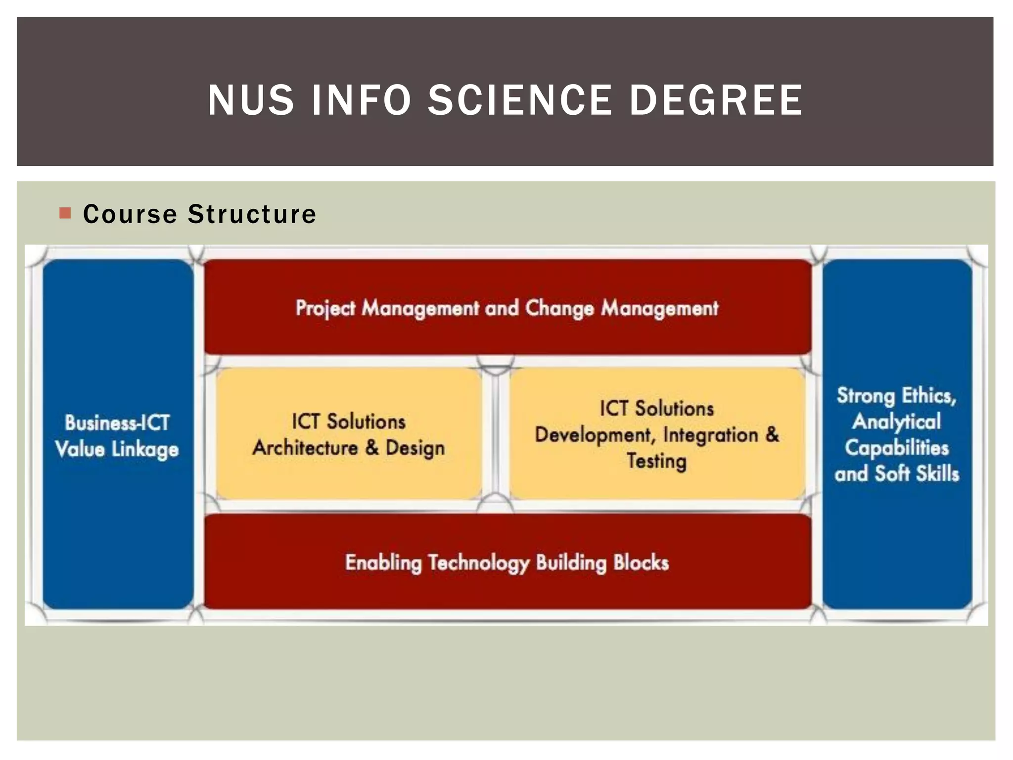  Course Structure
NUS INFO SCIENCE DEGREE
 