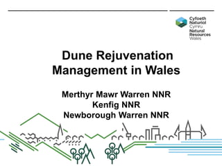 Dune Rejuvenation
Management in Wales
Merthyr Mawr Warren NNR
Kenfig NNR
Newborough Warren NNR
 