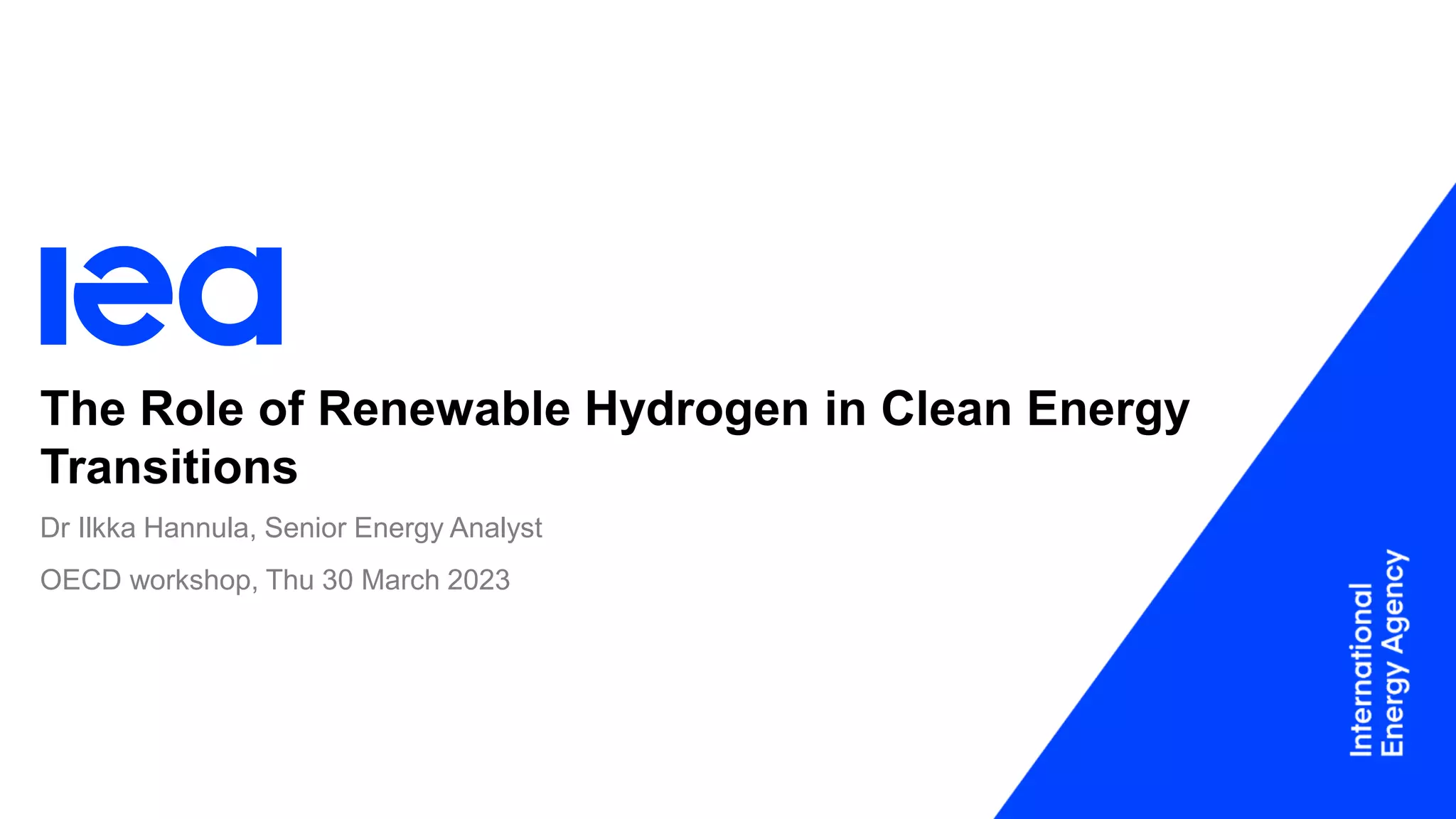 The Role of Renewable Hydrogen in Clean Energy Transitions: Dr Ilkka ...