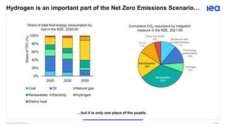 The Role of Renewable Hydrogen in Clean Energy Transitions: Dr Ilkka ...