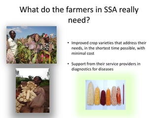 What do the farmers in SSA really
need?
• Improved crop varieties that address their
needs, in the shortest time possible, with
minimal cost
• Support from their service providers in
diagnostics for diseases
 