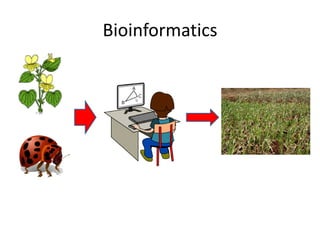 Bioinformatics
 
