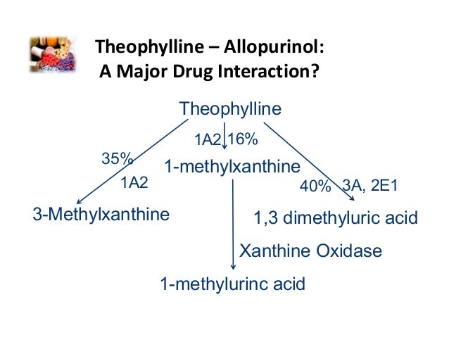 Theophylline Medication Interactions