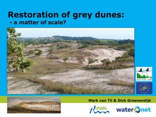 Restoration of grey dunes:
- a matter of scale?
Mark van Til & Dick Groenendijk
 