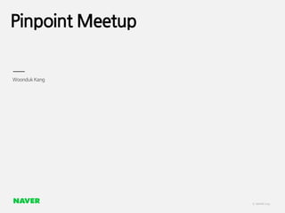 Pinpoint Meetup
 