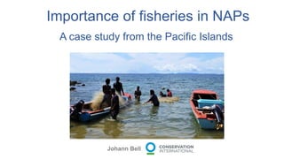 Importance of fisheries in NAPs
A case study from the Pacific Islands
Johann Bell
 