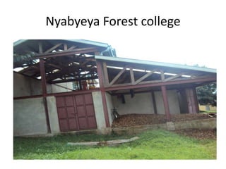 Nyabyeya Forest college
 