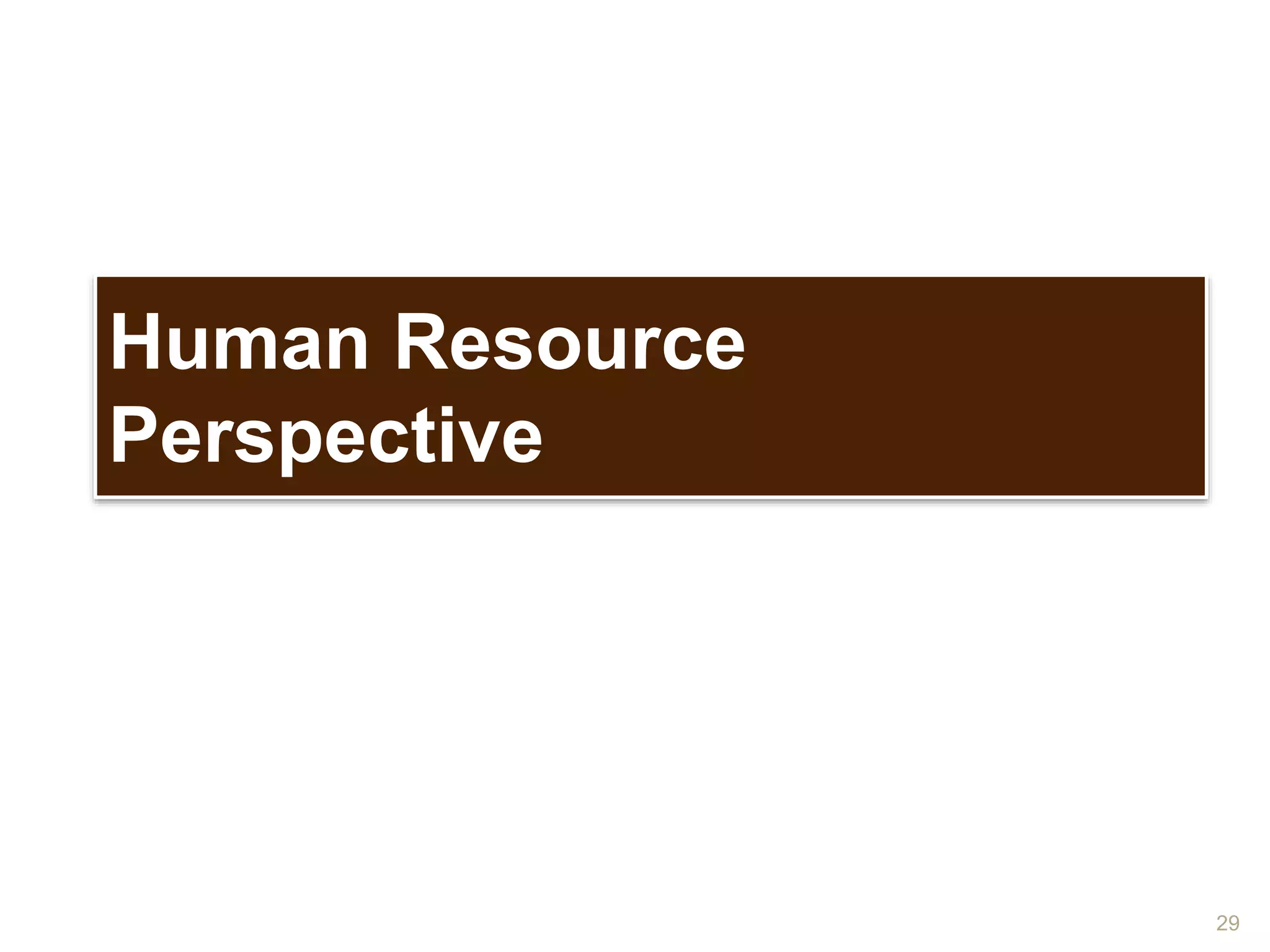 Human Resource 
Perspective 
29 
 