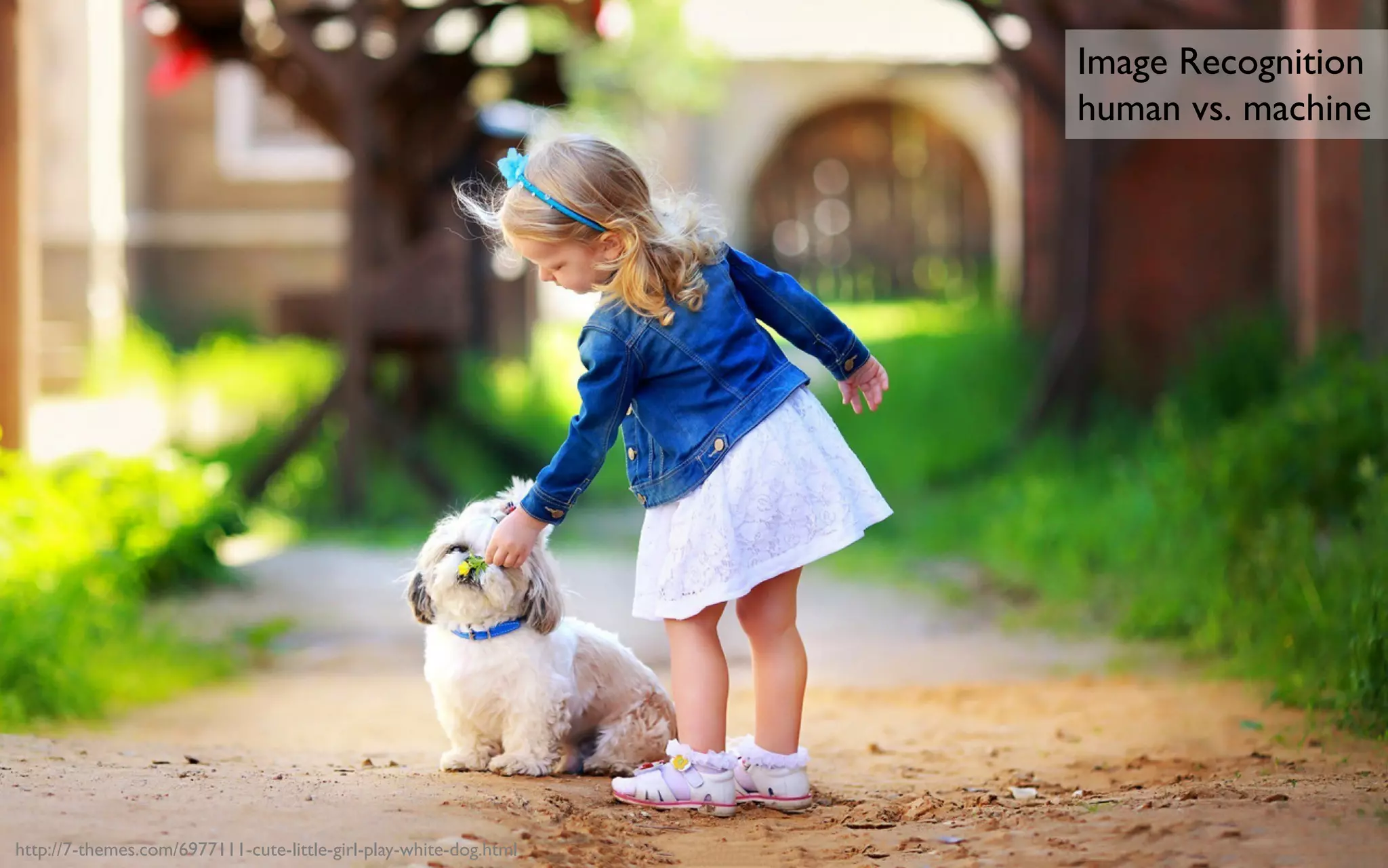 Image Recognition
human vs. machine	

http://7-themes.com/6977111-cute-little-girl-play-white-dog.html	

 