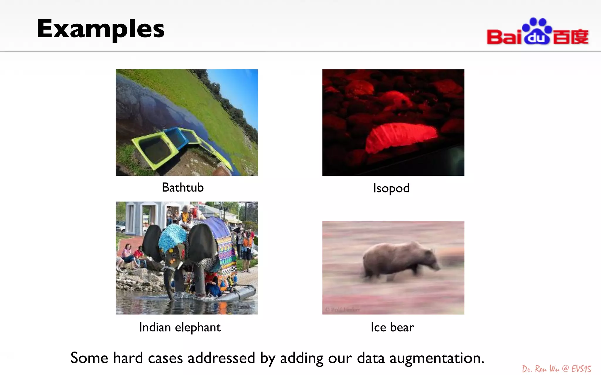 Examples	

Bathtub	
 Isopod	
Indian elephant	
 Ice bear	
Some hard cases addressed by adding our data augmentation.	
 