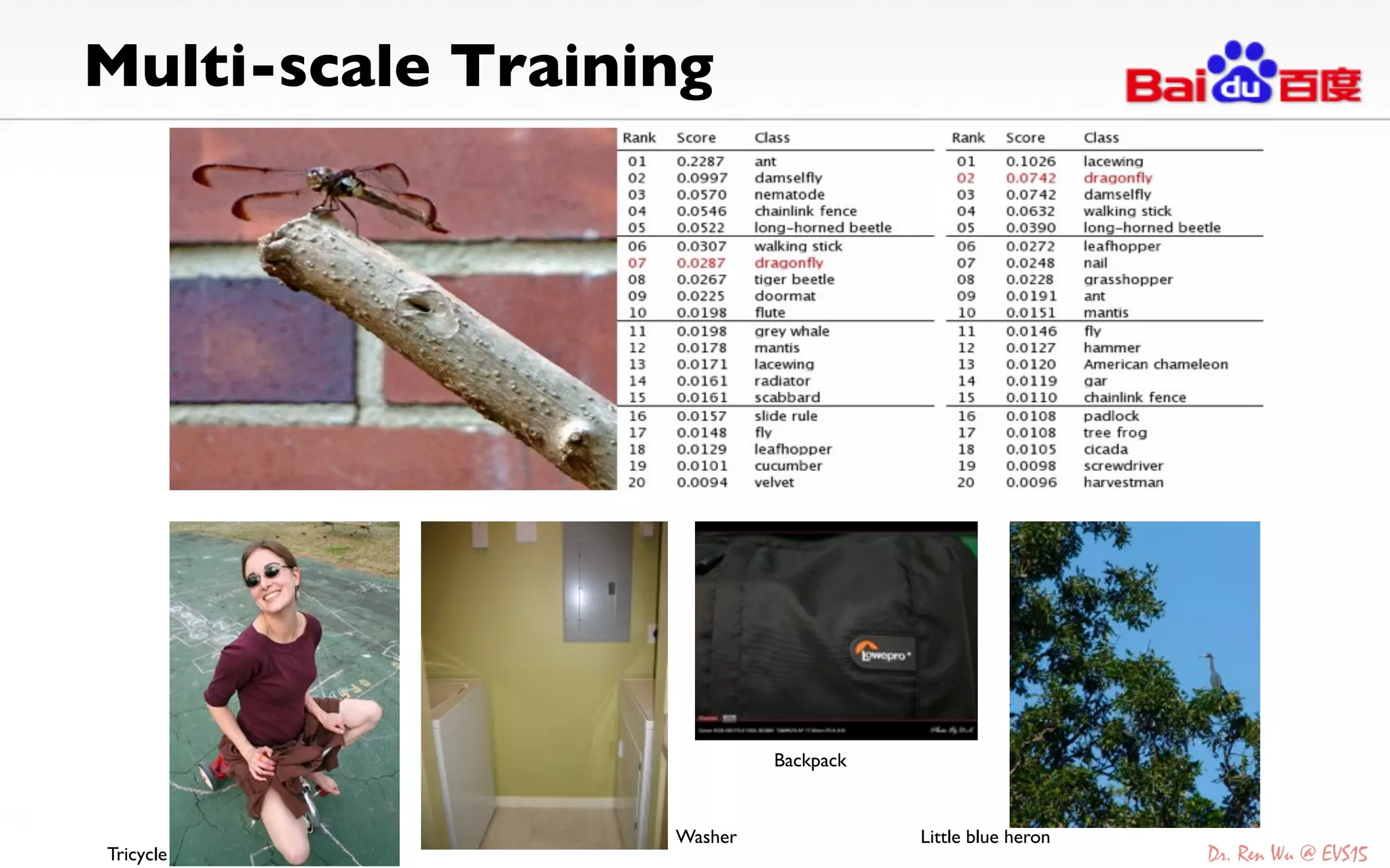 Multi-scale Training	

Tricycle	
Washer	
Backpack	
Little blue heron	
 