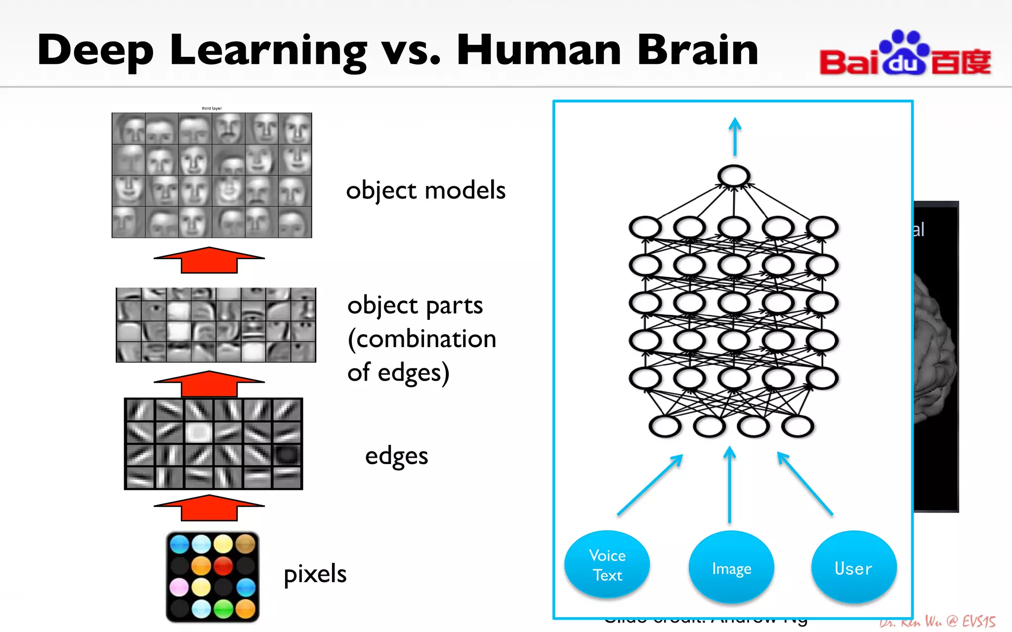 Deep Learning vs. Human Brain	

pixels	

edges	

object parts	

(combination 	

of edges)	

object models	

Deep Architecture in the Brain
Retina
Area V1
Area V2
Area V4
pixels
Edge detectors
Primitive shape
detectors
Higher level visual
abstractions
Slide credit: Andrew Ng
Voice	

Text	

 Image	

 User
 