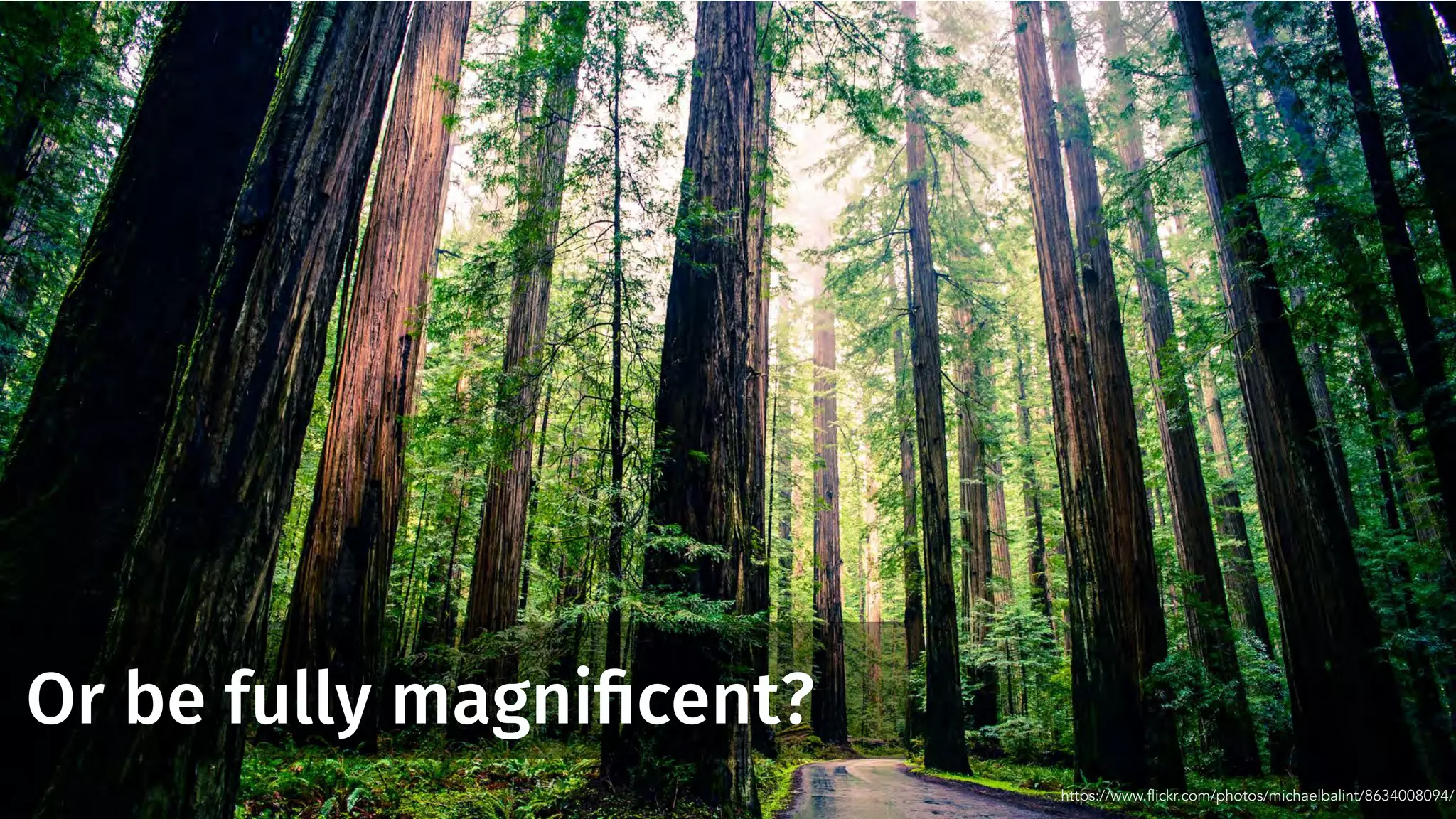 Or be fully magniﬁcent?
https://www.flickr.com/photos/michaelbalint/8634008094/
 