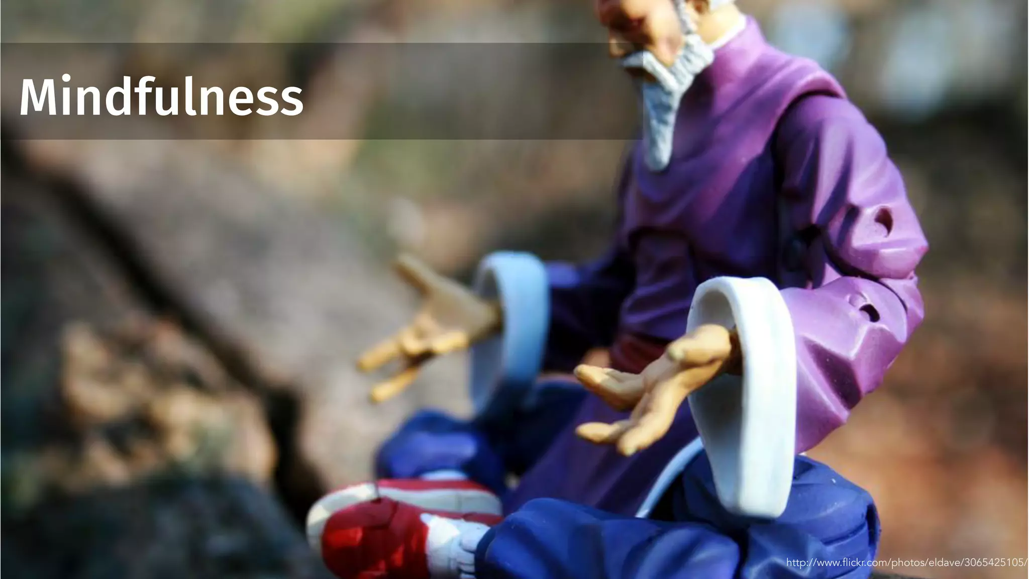 Mindfulness
http://www.flickr.com/photos/eldave/3065425105/
 