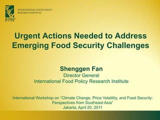 Urgent Actions Needed to Address Emerging Food Security Challenges Shenggen FanDirector General International Food Policy Research Institute International Workshop on “Climate Change, Price Volatility, and Food Security: Perspectives from Southeast Asia”  Jakarta, April 20, 2011 