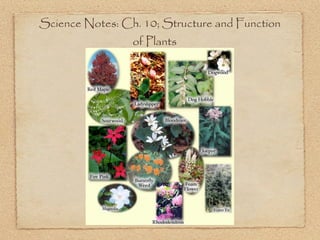 Science Notes: Ch. 10; Structure and Function
                 of Plants
 