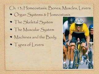 Ch. 13; Homeostasis, Bones, Muscles, Levers
  Organ Systems & Homeostasis
  The Skeletal System
  The Muscular System
  Machines and the Body
  Types of Levers
 