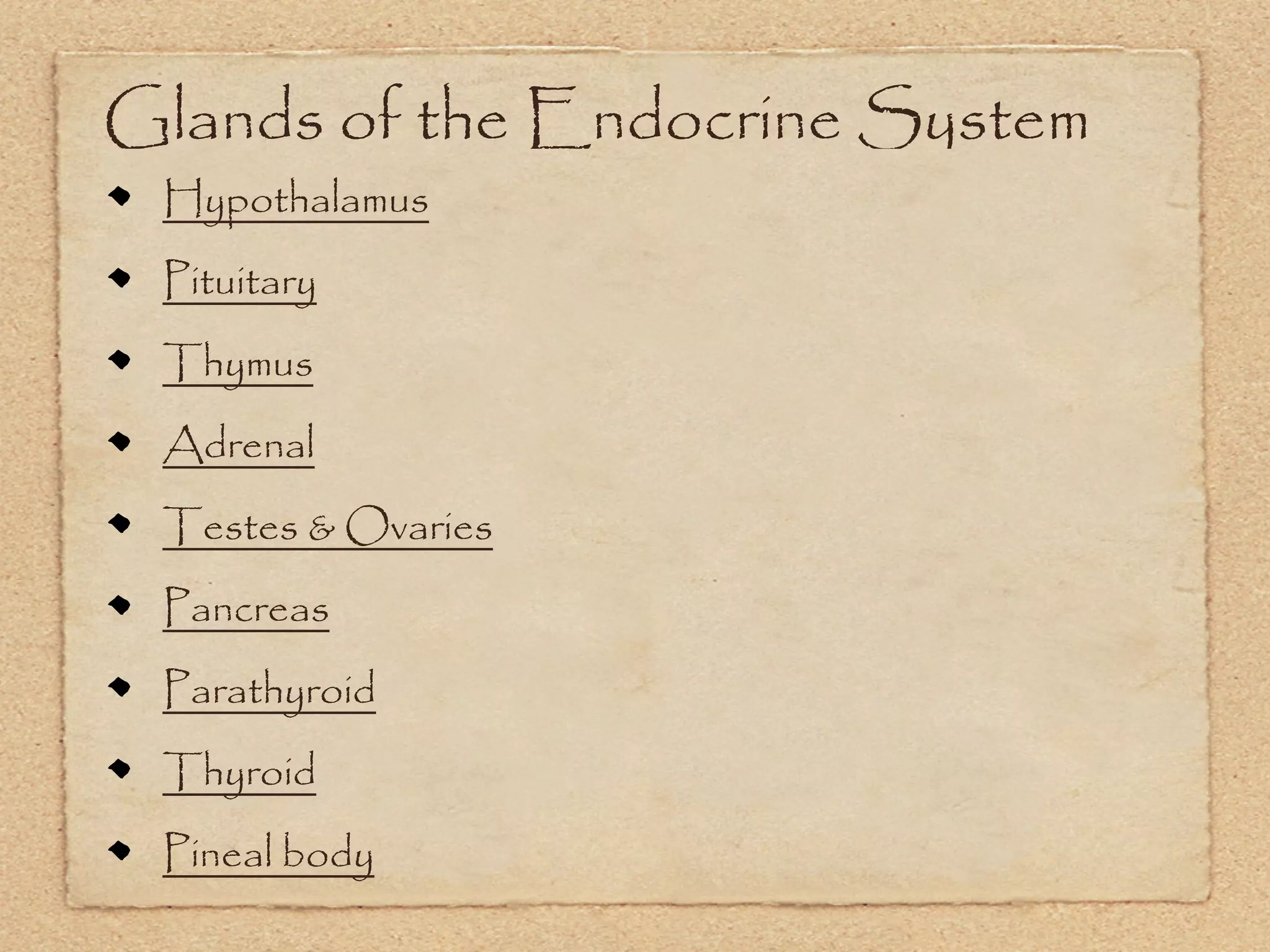 Glands of the Endocrine System
 Hypothalamus
 Pituitary
 Thymus
 Adrenal
 Testes & Ovaries
 Pancreas
 Parathyroid
 Thyroid
 Pineal body
 