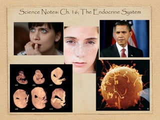 Science Notes: Ch. 16; The Endocrine System
 