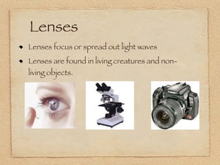 Lenses
Lenses focus or spread out light waves
Lenses are found in living creatures and non-
living objects.
 
